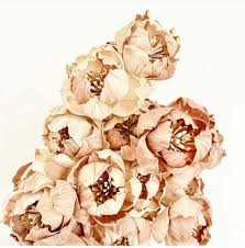 Decorative Dry Flowers